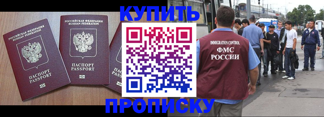 прописка 2025 в Барыше